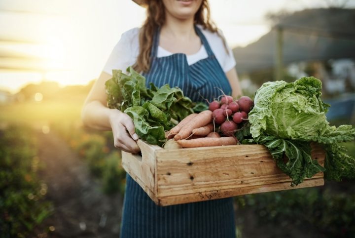 Producteur tenant un panier remplit de légumes